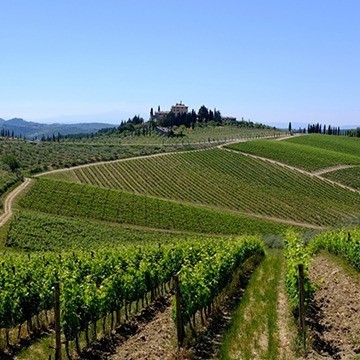 Chianti & Val D'Orcia
